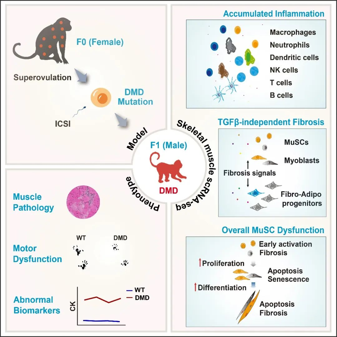 圖片2.png 圖片2.png
