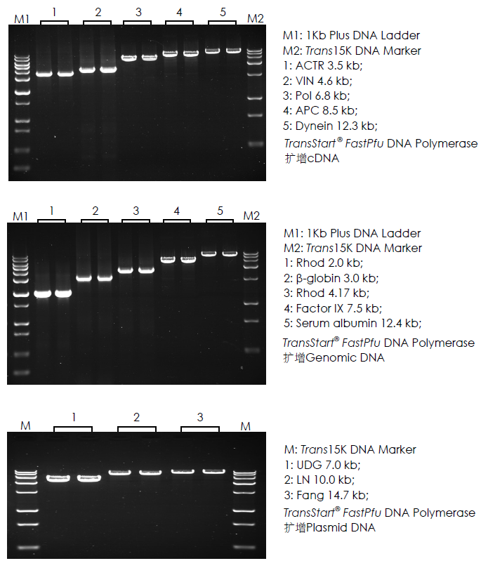 Image_20241030155800.png Image_20241030155800.png